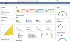 Oracle Netsuite Dashboard