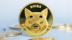 Uphold Seeks Information Regarding Shiba Inu Partner, Bad Idea AI