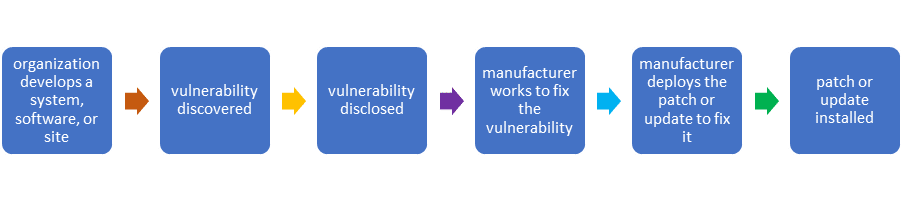 The lifecycle of a network vulnerability