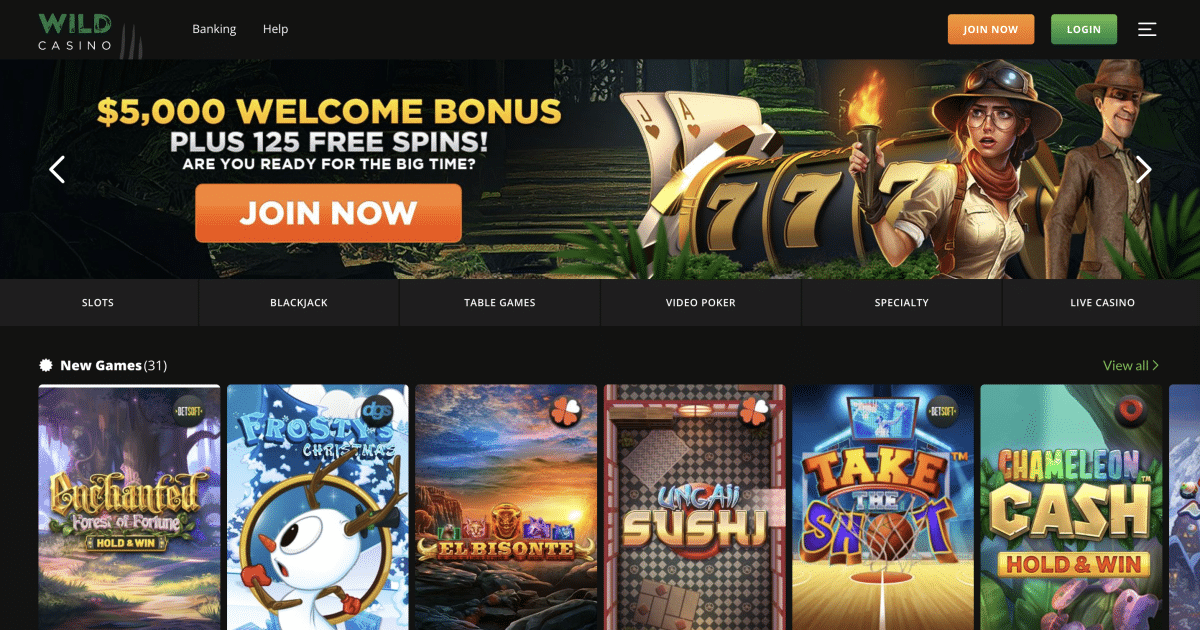 Wild Casino home page - the best live blackjack online